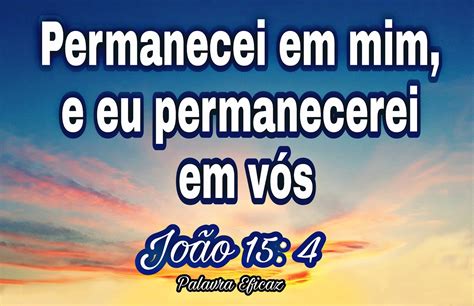 Joao 15 15 Explicacao - FDPLEARN