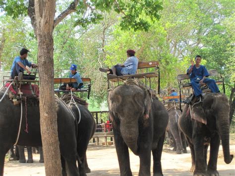 Private Full Day Tour Kanchanaburi Elephant Sanctuary And Jungle Safari ...