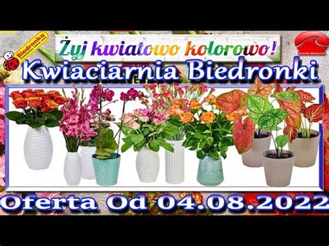 Biedronka Kwiatowe Inspiracje Biedronki Nowa Oferta Od Czwartku 04 08