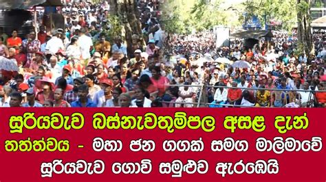 සරයවව බසනවතමපල අසළ දන තතතවය මහ ජන ගගක සමග සරයවව ගව