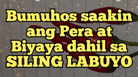 Bumuhos Saakin Ang Pera At Biyaya Dahil Sa Siling Labuyo Signs Ng