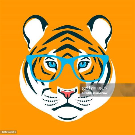 Tiger Glasses Photos And Premium High Res Pictures Getty Images