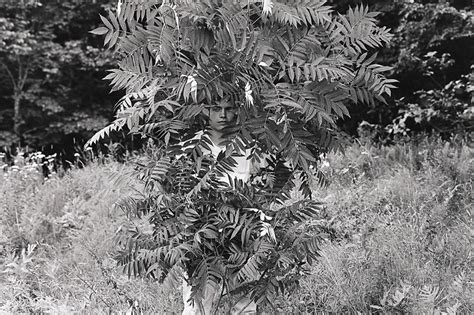 Images Beyond The Naked Eye Deste Foundation For Contemporary Art Athens Greece