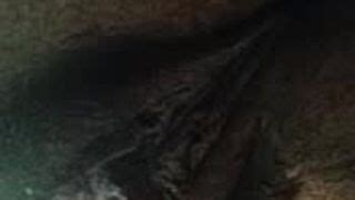 Free Organism Porn Videos Xhamster