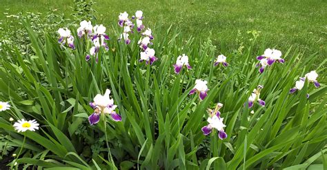 Obituary and Life Tribute for Martha Goeres 40