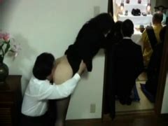 Midnight Carnal Sex Behaviour At DrTuber