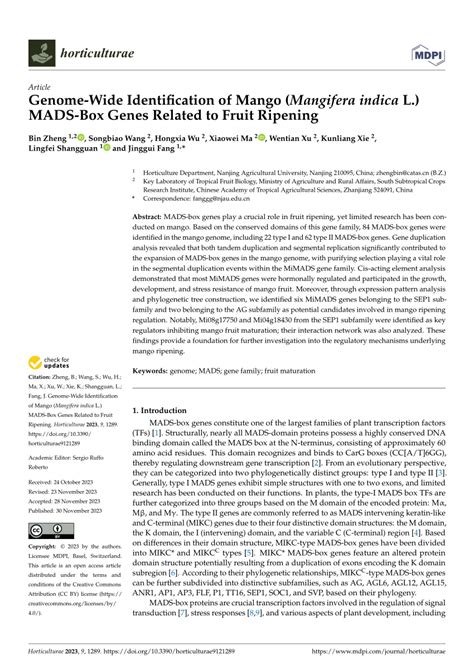 Pdf Genome Wide Identification Of Mango Manera Indica L Mads Box Genes Related To Fruit