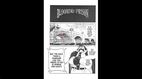 Slideshow Search XVIDEOS