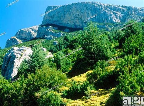 Alquiler De Coches En Pu Rtolas Huesca Espa A Alquiler Coches