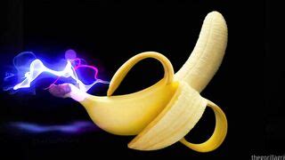 Gorilla Grip All Anal Scene Thothub