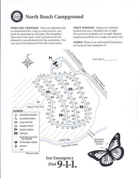 Pismo State Beach - The Camp Site - Your Camping Resource