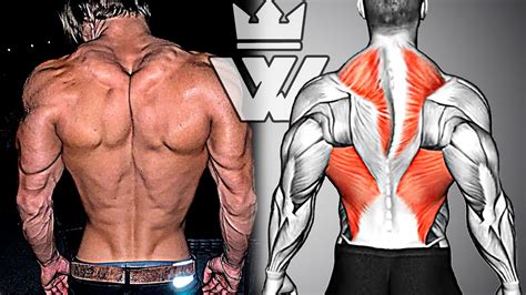 How To Build Your Back Fast 10 Exercises For Massive Back Youtube