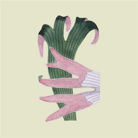 Platycerium Alcicorne Plant Leaves Tofujoe