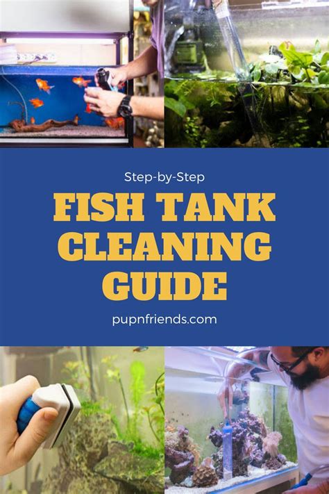 clean  fish tank artofit