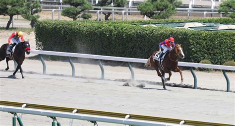 ライジンマルが8馬身差“圧逃”デビューv 津村「時計通りの強い内容」／新馬戦 2歳馬特集 競馬写真ニュース 日刊スポーツ