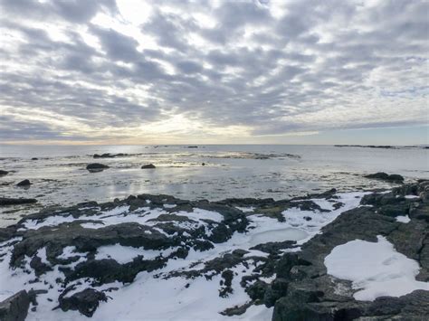 Guide To Ytri Tunga Beach A Seal Watching Paradise In Iceland