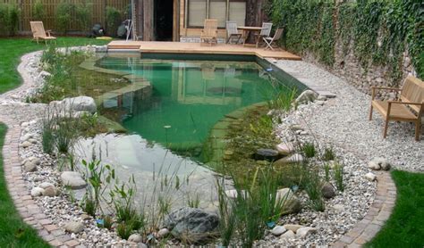 Искусственный пруд на дачном участке: фото и видео, оптимальный размер ...