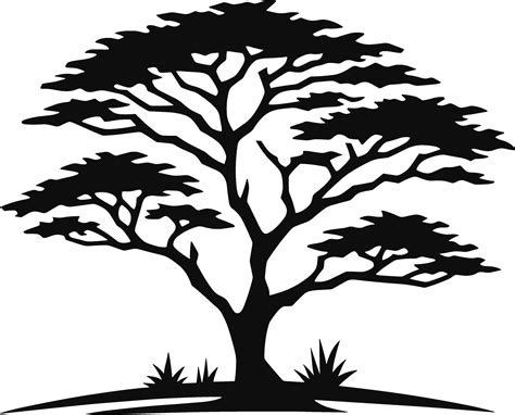 Acacia Tree Silhouette 37130775 Vector Art at Vecteezy