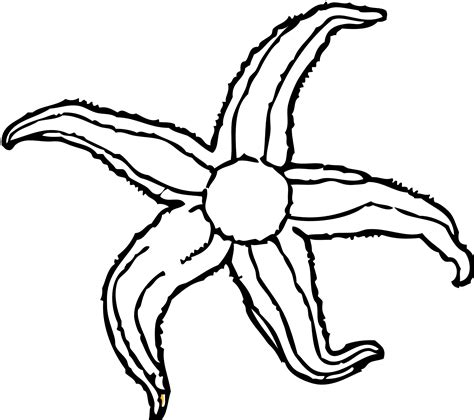 Free Black And White Pond Download Free Black And White Pond Png