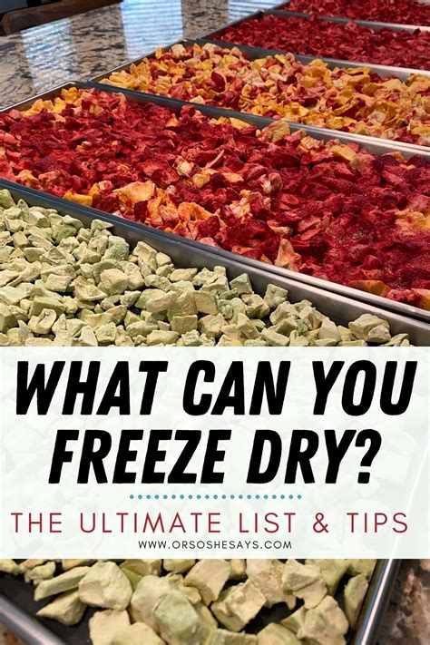 Foods You Can Put In Your Freeze Dryer ~ The Ultimate List & Tips - Or so she says...