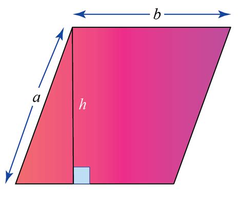 Quadrilaterals Types Properties What Is Quadrilaterals