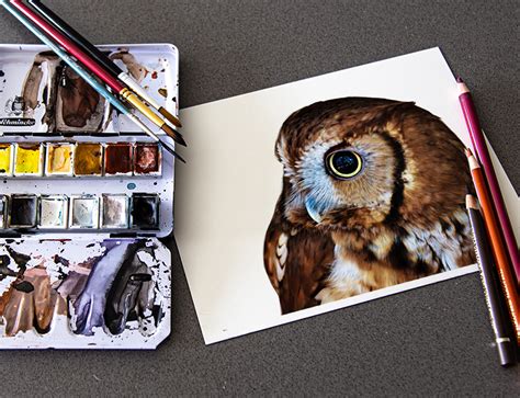 sample owl lachri fine art