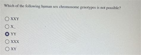 Solved Which Of The Following Human Sex Chromosome Genotypes Chegg