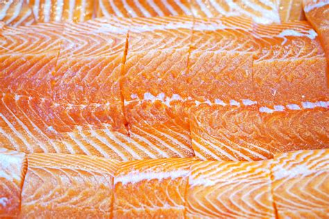 Wholesale Salmon Fillet Bulk Buy Manettas Seafood