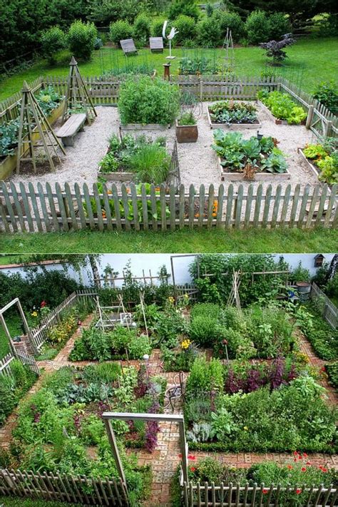 Vegetable Gardening For Beginners Essential Tips And Hacks Vegetable