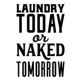 Laundry Today Naked Tomorrow