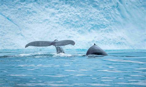 ESMA publishes follow-up report on Guidelines on ETFs and UCITS issues