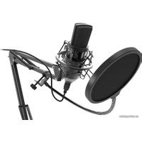 Ritmix RDM-169 проводной микрофон купить в Минске