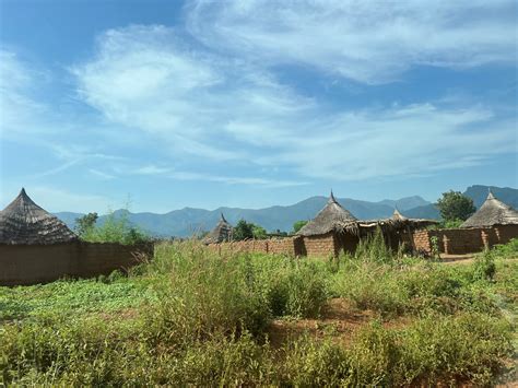 Who are the actors leading climate action in Cameroon's northern