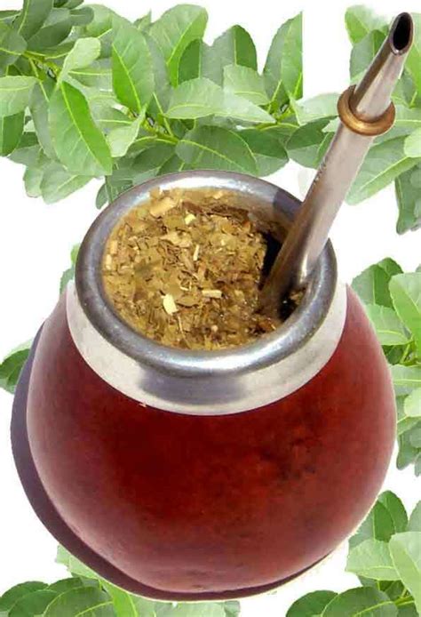 contemosle al mundo  es tomar mate taringa