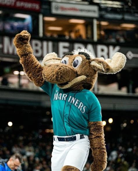 Seattle Mariners ⚾️ Seattle Mariners Baseball Seattle Mariners Mariners Baseball