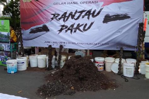 Cerita Sebelum Ide Saber Ranjau Paku Dibentuk