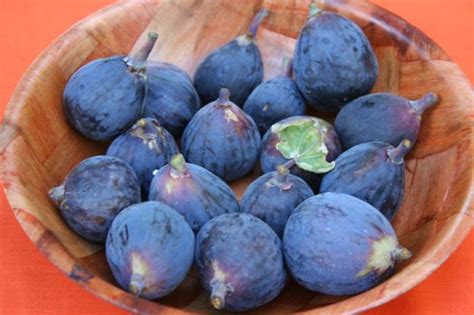 Evolving Tastes Naked Fruit