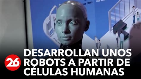 Los robots creados de células humanas pueden regenerar neuronas YouTube