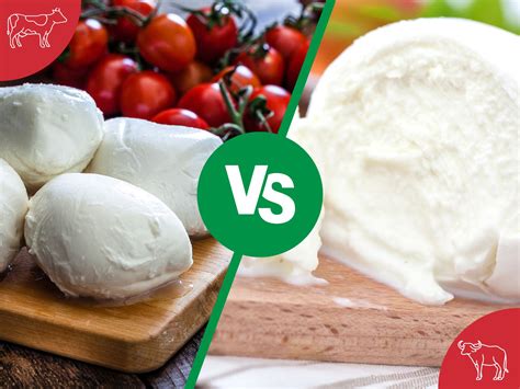 Fior di Latte vs Mozzarella: Origin, Production & Flavour