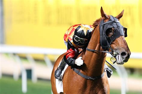 Hkjc Racing On Twitter Fields Form And All You Need For Wednesdays