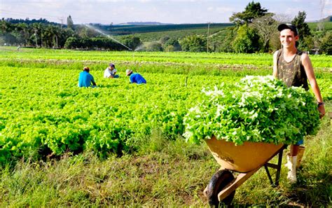 Governo Prorroga Prazo Para Cadastro De Produtores Rurais Blog Da