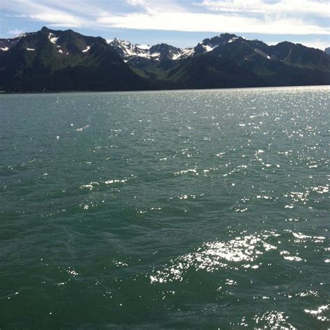 Exit Glacier Campground — Kenai Fjords National Park | Seward, Alaska