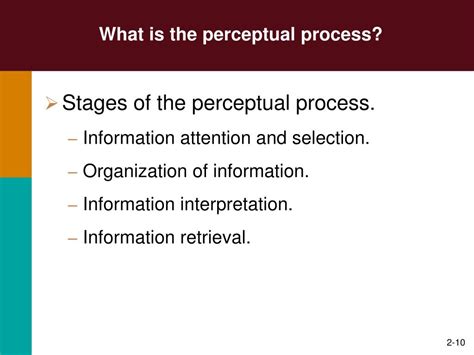 Perception Process 3 Stages Finored