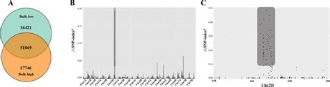 BSR Seq Analysis A The Number Of SNPs Identified In The Bulk Low And