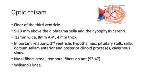 Optic pathway and lesions | PPT