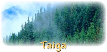 Taiga Plants