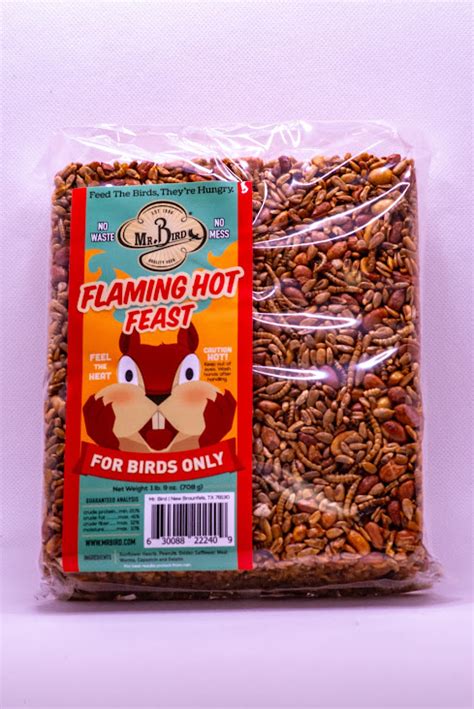 Flaming Hot Feast Large Cake The Bird House NY