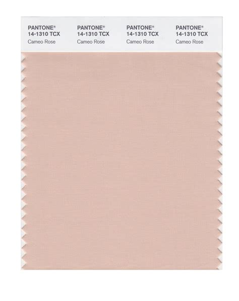 Coral Pink Pantone 63 Photo