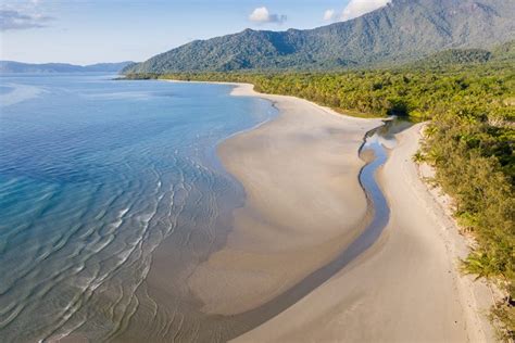 Guide To Visiting Australia S Daintree Rainforest Incl Cape