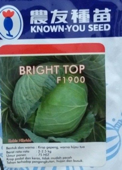 Kubis Bright Top Gram Pack Besar Benih Biji Kol Hijau Kubis Hijau